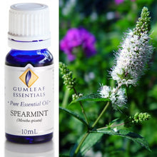 Load image into Gallery viewer, Pure Essential Oils