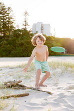 Load image into Gallery viewer, Sunny Coaster silicone frisbee