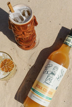 Load image into Gallery viewer, Pina Colada Mixer - 10 Serves