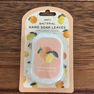 Antibacterial Hand Soap Leaves