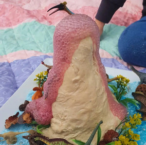 Make Your Own Eco Volcano Kit - Science and Stemp Play