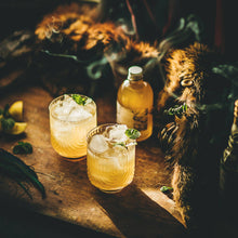 Load image into Gallery viewer, Mandarin Shrub Syrup 250ml