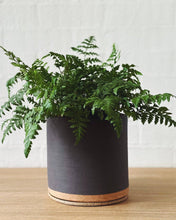 Load image into Gallery viewer, Charcoal planter
