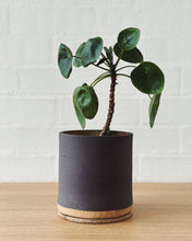 Load image into Gallery viewer, Charcoal planter
