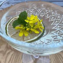 Load image into Gallery viewer, Dehydrated Limes

