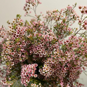 Arrangement of fresh flowers