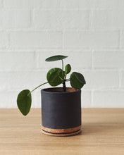 Load image into Gallery viewer, Charcoal planter
