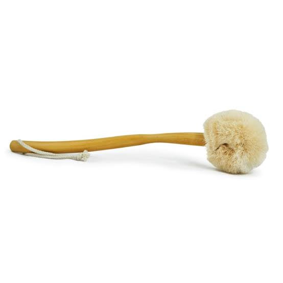 EcoMax Dry Body Brush