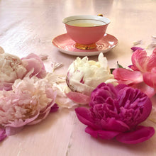 Load image into Gallery viewer, Pale Pink Teacup and Saucer
