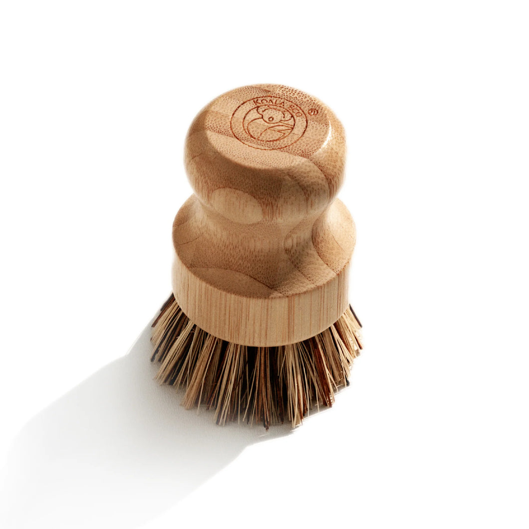 Koala Eco Brush