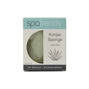 SpaTrends Konica Sponge