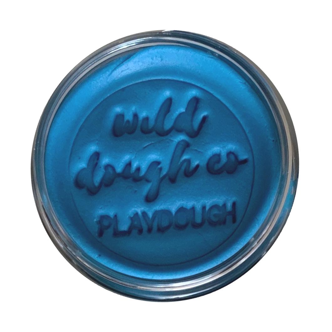 Pacific Blue Playdough (w/s)